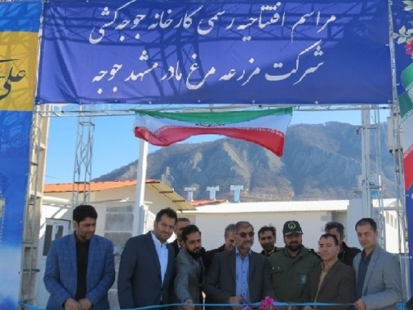 کارخانه جوجهکشی مرغ مادر مشهد در گالیکش افتتاح شد
