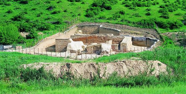 متجاوز به عرصه و حریم دیوار بزرگ گرگان دستگیر شد