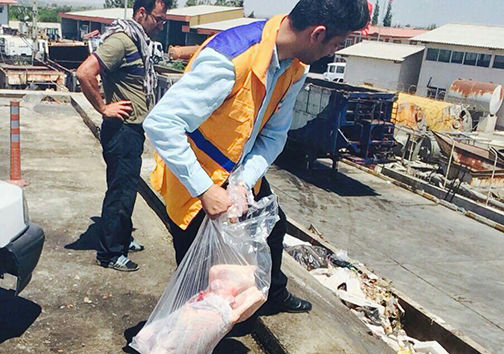 کشف لاشه شتر در بازرسی از بازار قدیمی نعلبندان گرگان