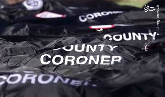 فیلم/ جنازه‌های نمادین در نزدیکی کاخ سفید
