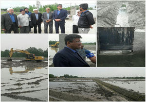 یکپارچه شدن زمین های کشاورزی در بندرگز