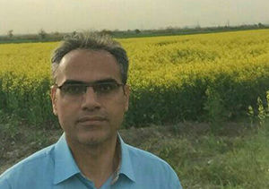 خرید بیش از 50 هزار تن کلزا در گلستان