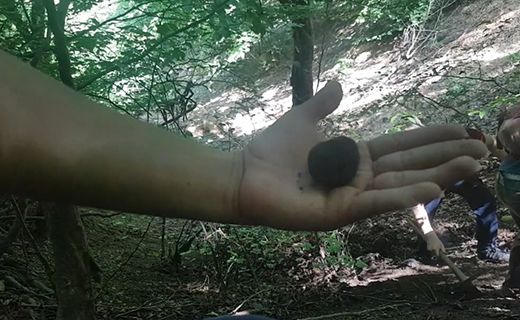 قصه الماس سیاه؛ از جنگل های هیرکانی تا رستوران های لوکس اروپایی
