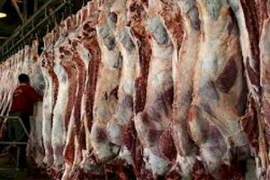 فیلم/ گوشت‌های جنجالی وارداتی در کف بازار
