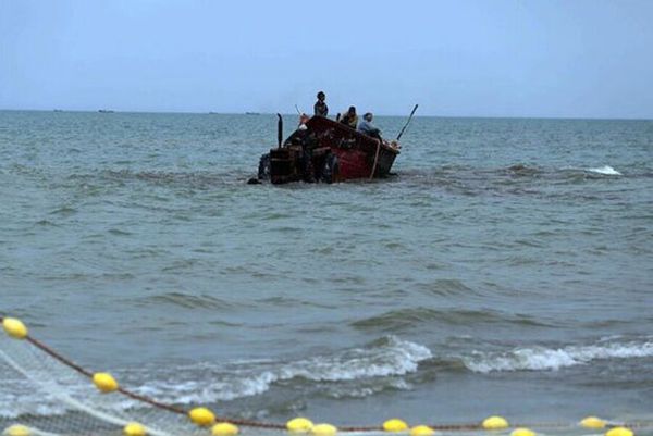 فصل صید ماهیان استخوانی از نیمه مهر ماه آغاز می شود
