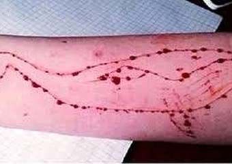 سقوط دودختر از پل روگذری در اصفهان 