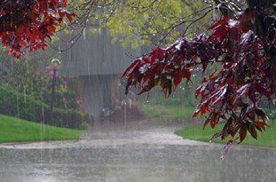 بارش باران و کاهش 12 درجه‌ای دما در گلستان