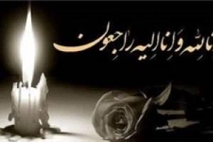 درگذشت فوتبالیست جوان به علت گاز گرفتگی