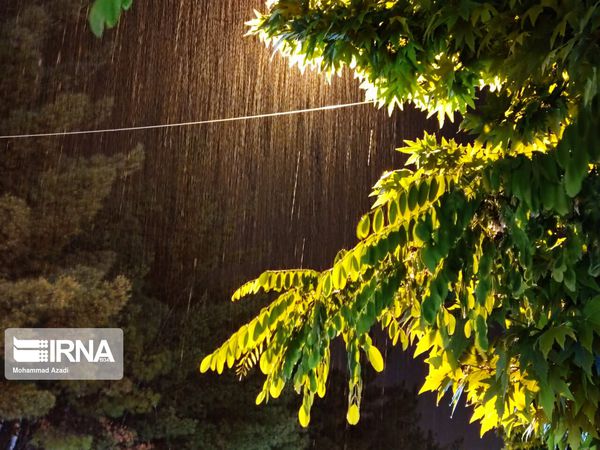 ثبت ۲۹۲ میلیمتر بارش باران طی سال آبی ۱۴۰۱ - ۱۴۰۰ در گنبدکاووس
