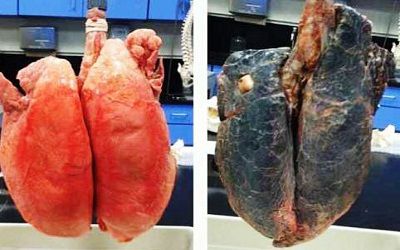 جرات دارید یک ساعت کنار یک قلیانی بنشینید