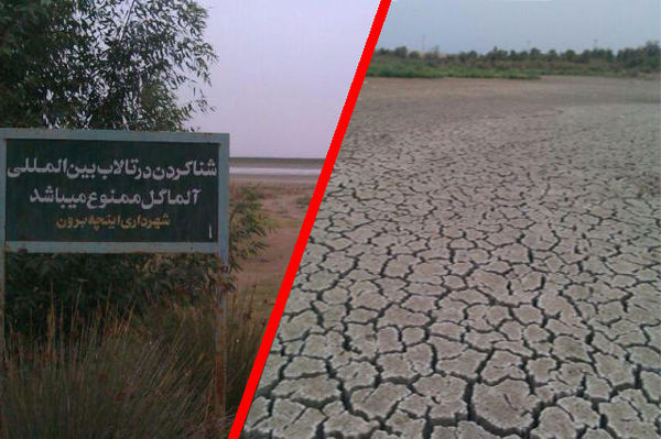 آلماگل غرق در تَرَک های بی آبی
