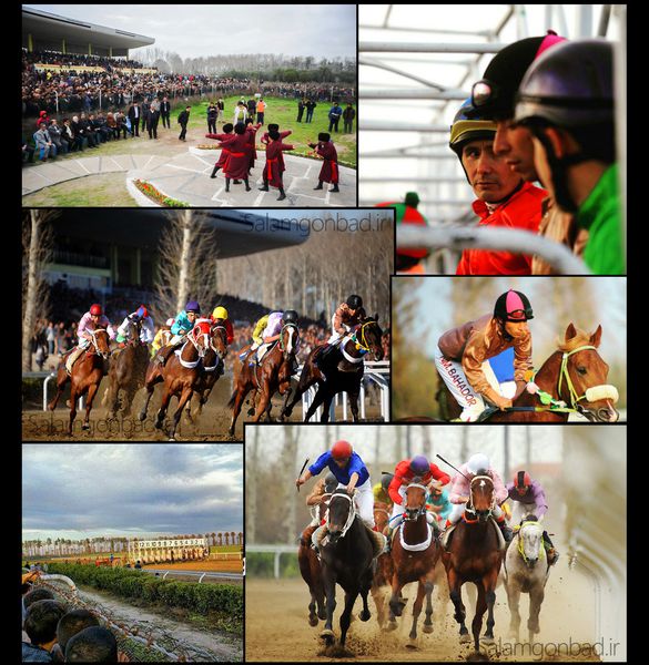 پایان مسابقات کورس سوارکاری پاییزه گنبدکاووس+تصاویر