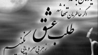 طلب عشق ز هر بی سر و پایی نکنیم