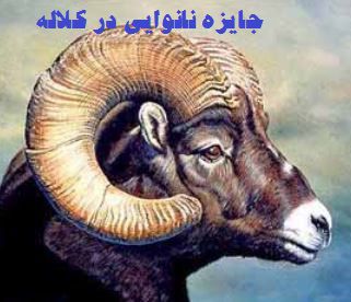 رقابت جدید نانواییهای کلاله+تصویر