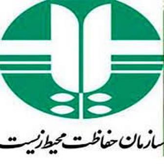 جاده پارک ملی گلستان باز هم جان یک حیوان را گرفت