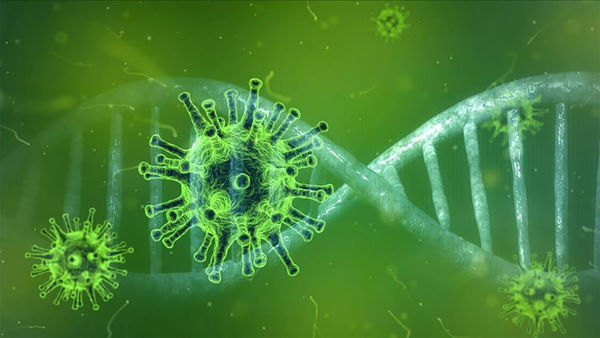 مردم در مراسم تجمعی شرکت نکنند