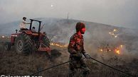 بیشت از هشتاد مورد آتش سوزی در جنگل های استان گلستان