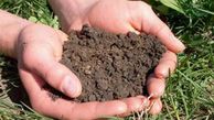 بیش از ۶۰ درصد زمین‌ها استان کمبود شدید فسفر دارند