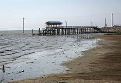 خلیج گرگان چشم انتظار معجزه/ تکرار قصه پر غصه لایروبی