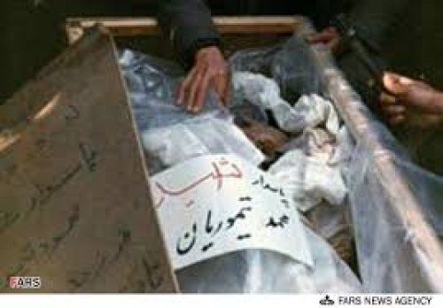 شهیدی که مادرش را به زیارت آقا علی ابن موسی الرضا(ع) برد + عکس