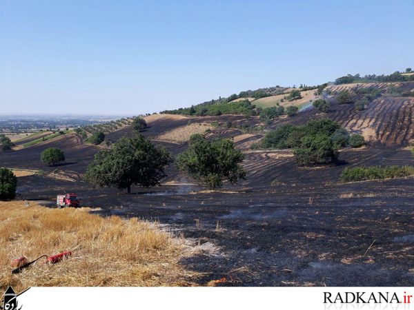 تصاویر/ آتش سوزی گسترده در مزارع شهرستان کردکوی