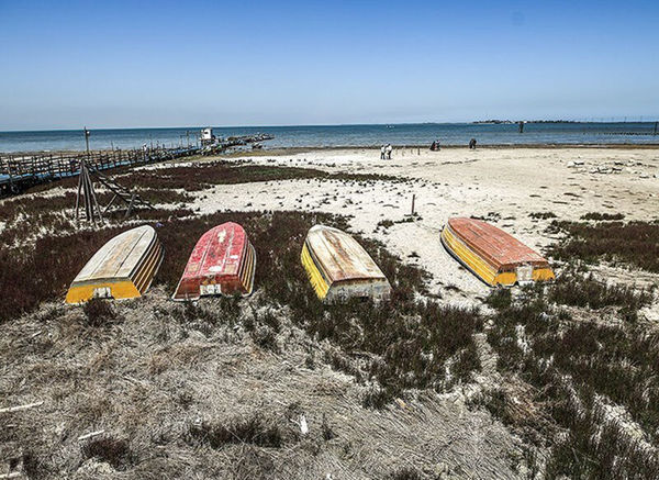 تب داغ پس‌روی آب بر پیکر خلیج گرگان
