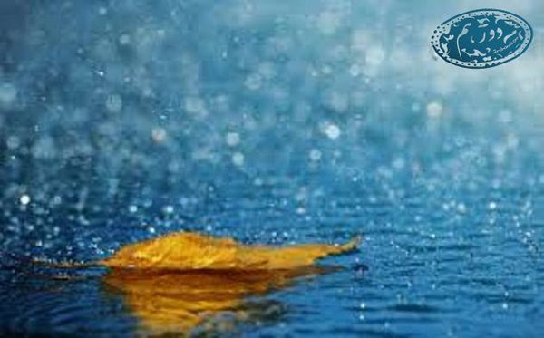 ﺍﯾﻦ ﺭﻭﺯﻫﺎ ﺳﺮﺯﻣﯿﻨﻤﺎﻥ ﺗﺸﻨﻪ ﯼ ﻓﻬﻢ ﺍﺳﺖ !