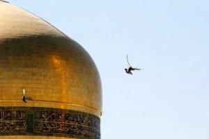 یک فیلیپینی در حرم امام رضا(ع) مسلمان شد
