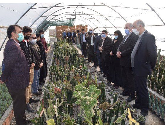 گلخانه تخصصی کاکتوس‌های زینتی دانشگاه منابع طبیعی گرگان افتتاح شد
