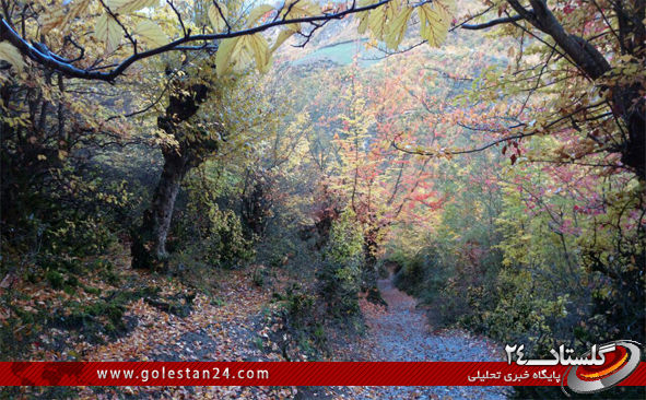 ارتفاعات روستای زیارت به روایت تصویر