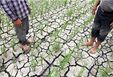 تغییر الگوی کشت مهم‌ترین عامل تشدید بحران آب است