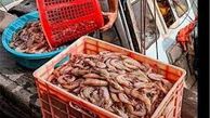 
صادرات ۸۰ درصد میگوی تولیدی گلستان به بازارهای خارجی
