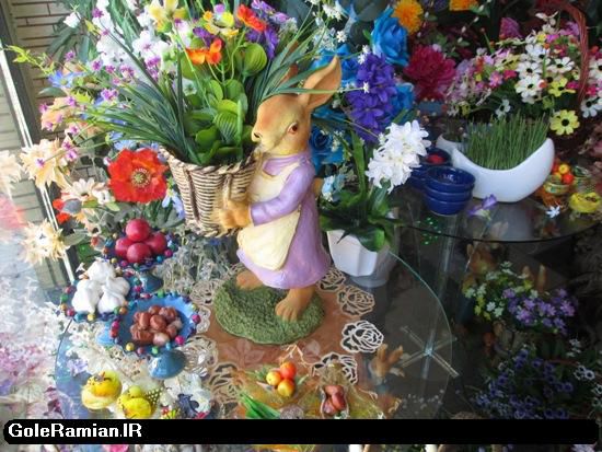 رامیان با یک گلفروش بهار می شود/تصاویر