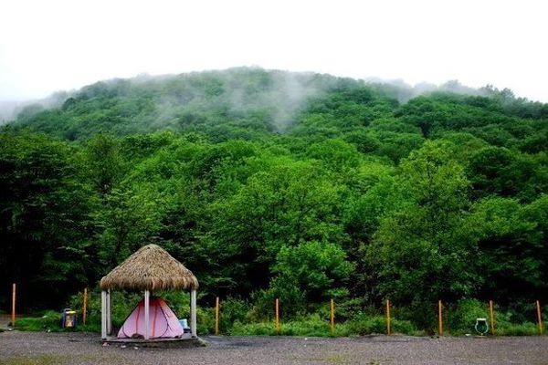 جنگل‌ها و مناطق حفاظت شده گلستان فرصتی برای آرامش گردشگران
