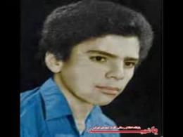 دانلود/ شفای عجیب مادر توسط فرزند شهید معماریان - روایتگری حاج آقا نادم