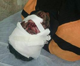 حمله پلنگ گرسنه به یک چوپان در سوادکوه