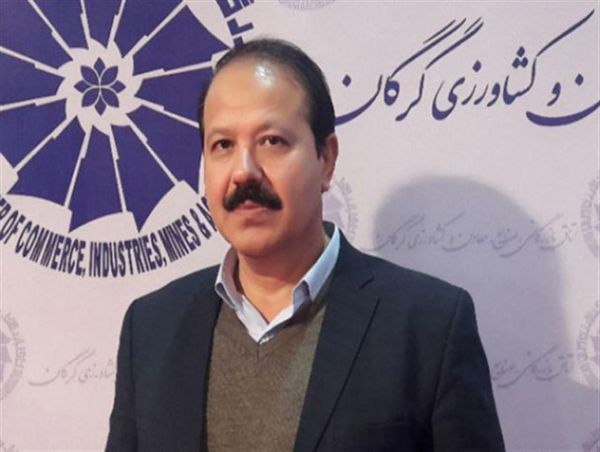 نرخ خرید تضمینی سیب زمینی پایین است
