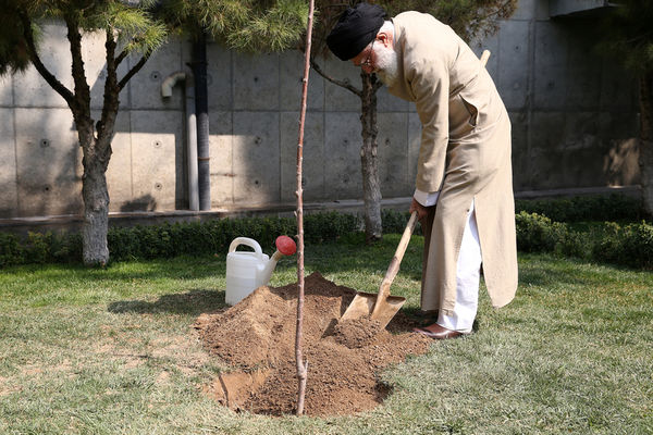 جنگل‌ها و منابع باید از دست‌اندازی سوداگران حفظ شود