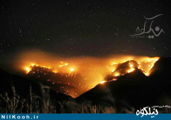 تاکنون قریب 50 هکتار از جنگل‌های " بش اویلی " در آتش سوخته / دهیاران و نیروهای صبح امروز برای اطفا حریق اعزام شدند + تصاویر 