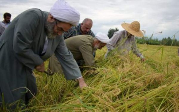 حرکات تحسین برانگیز ائمه جمعه در سال ۹۷ +تصاویر