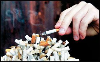 فیلم /آمارهای تاسف‌بار از جولان سیگار درایران