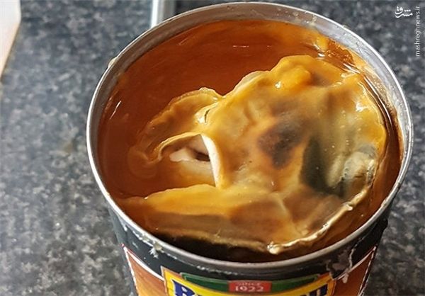 پیداشدن موجودی عجیب در کنسرو لوبیا +تصاویر