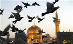 صفحه اینستاگرام هنرمندان، ورزشکاران و سیاستمداران بوی حرم گرفت+تصاویر