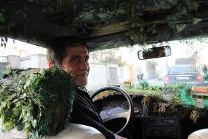فیلم/ تاکسی جنگلی با اینترنت رایگان!
