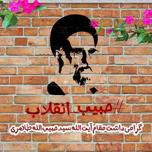 حبیب انقلاب 