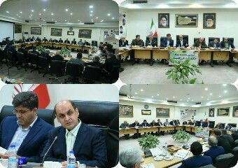 ظن حملات بیوتروریستی به مزارع پرورش میگو گلستان/ تخم‌های آلوده‌ای که از آمریکا و فرانسه راهی ایران شدند/ استاندار نتیجه را به مردم اعلام کند