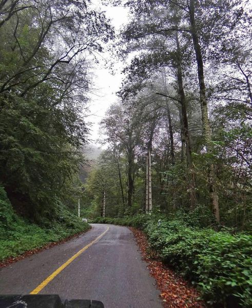 ویدیو/ حال و هوای این روز های درازنو 