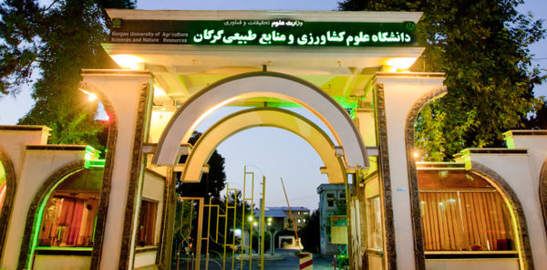 حضور اساتید در دانشگاه علوم کشاورزی و منابع طبیعی گرگان به صورت کامل غیرحضوری شد