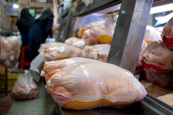 آشفته بازار مرغ در گلستان؛ دولت عامل گرانی اخیر