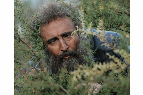 چهره عجیب بهبود در پایتخت ۶